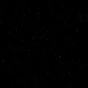 Meet your Posher, Jailynn